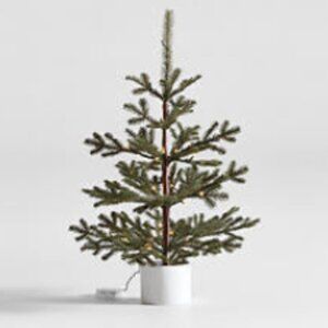 Crate & Barrel - Faux Potted Pine Pre-Lit LED Christmas Tree with White Lights